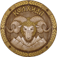 Колхида - Сливен АД