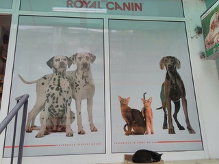 Петсланд еоод