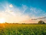 Купувам ЗЕМЕДЕЛСКА ЗЕМЯ всички землища в Община Созопол