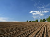 Купувам ЗЕМЕДЕЛСКА ЗЕМЯ всички землища в Община Минерални Бани