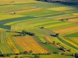 Вие продавате, СТАВЕН АД купува земеделска земя