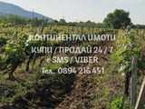 Код 62716. Ново лозе 4200м2, като предстои набиването на колове и слагане на телове на още няколко р