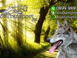 ПРЕВОЗ и разнос на ЖИВОТНИ „Zoo Transport” – КУЧЕТА, КОТКИ, ПТИЦИ