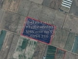 Нива 10дка 6-та кат, до регулация /на 100 метра северно от последните къщи/