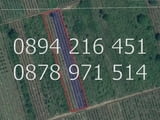 КОДг 61215. Лозе 8дка в 3 отделни имота, двата съседни, третия срещу тях. Гроздето е Каберне и Мерло