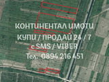 Код 62684. Лозя 10дка в местност Малкото кладенче. Лесно достъпна по черен път, воден канал в близос