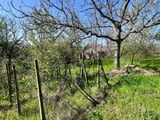 Парцел 557 кв.м. в Казанлък Вилна Зона ”Старите лозя” зад Художествената Гимназия